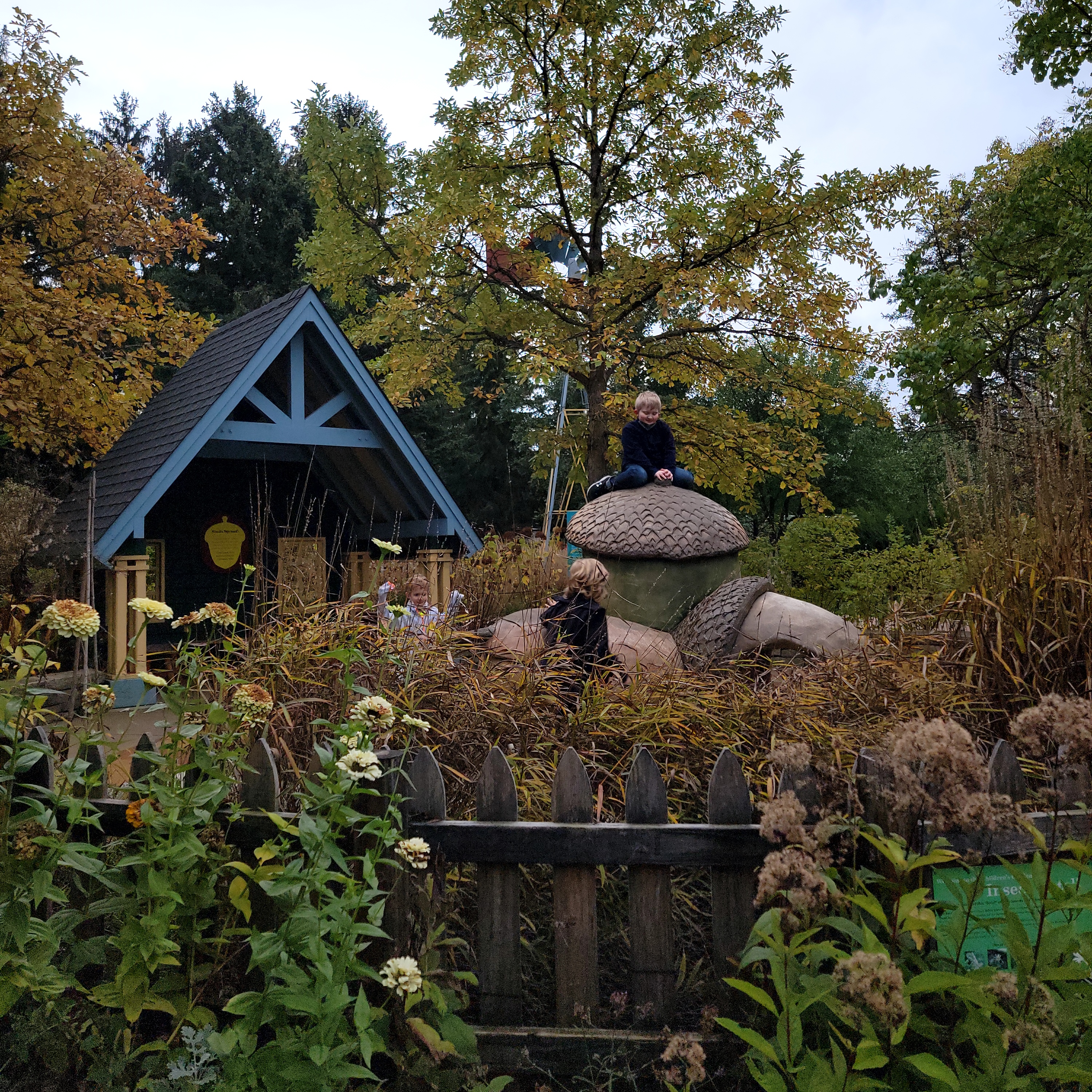 Inclusive Fall Fun at The Morton Arboretum